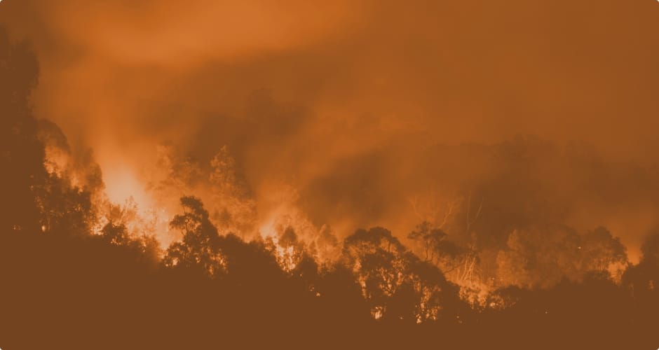 ncc-requirements-smoke-raven